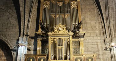 La Comissió Orgue de Solsona posa en marxa una campanya d’apadrinament de tubs de l’orgue La Comissió Orgue de Solsona posa en marxa una campanya d’apadrinament de tubs de l’orgue