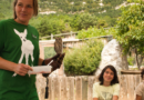 <strong>El Zoo del Pirineu celebra diumenge la primera trobada amb les persones que donen suport a la fundació</strong>