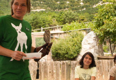<strong>El Zoo del Pirineu celebra diumenge la primera trobada amb les persones que donen suport a la fundació</strong>