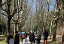 El Centre Sanitari organitza dues caminades a Solsona i Sant Llorenç per commemorar el Dia Mundial de l’Activitat Física