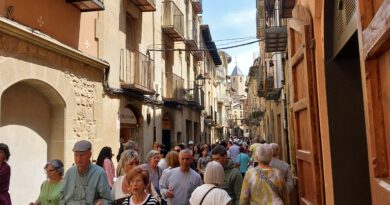 Solsona viu una de les fires de Sant Isidre més concorregudes dels últims anys Solsona viu una de les fires de Sant Isidre més concorregudes dels últims anys