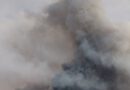 Els Bombers preveuen una campanya forestal més curta que altres anys gràcies a les pluges dels últims mesos