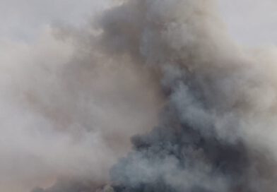Els Bombers preveuen una campanya forestal més curta que altres anys gràcies a les pluges dels últims mesos
