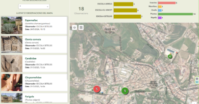 Sàmara Natura presenta el nou visor cartogràfic de la biodiversitat dels patis i l’entorn escolar Sàmara Natura presenta el nou visor cartogràfic de la biodiversitat dels patis i l’entorn escolar