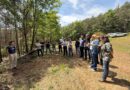 Aigües Ter-Llobregat finança un projecte forestal a la capçalera del Cardener a través de crèdits climàtics
