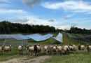 Portes obertes a un parc solar i tres programes de ràdio de sensibilització per commemorar la Setmana Europea de l’Energia Sostenible al Solsonès