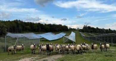 Portes obertes a un parc solar i tres programes de ràdio de sensibilització per commemorar la Setmana Europea de l’Energia Sostenible al Solsonès Portes obertes a un parc solar i tres programes de ràdio de sensibilització per commemorar la Setmana Europea de l’Energia Sostenible al Solsonès