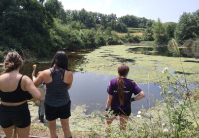 Organitzen una jornada de voluntariat ambiental per cuidar les Basses del Miracle
