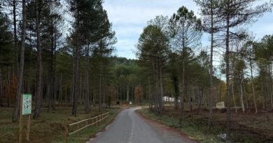 El Consell Comarcal fa una aclarida forestal en tres punts estratègics de gestió de la Ribera Salada El Consell Comarcal fa una aclarida forestal en tres punts estratègics de gestió de la Ribera Salada