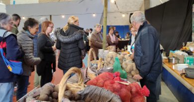 El Mercat del Trumfo i la Sal de Cambrils celebra aquest diumenge la seva 10a edició El Mercat del Trumfo i la Sal de Cambrils celebra aquest diumenge la seva 10a edició