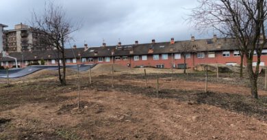 La brigada municipal incrementa i substitueix arbrat urbà amb una seixantena d’exemplars La brigada municipal incrementa i substitueix arbrat urbà amb una seixantena d’exemplars