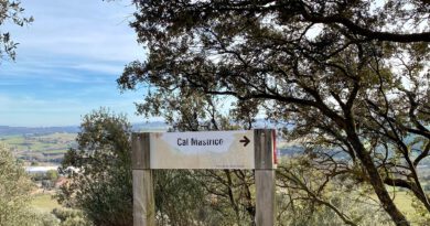 El consistori solsoní inicia la renovació de la senyalització de les masies del Vinyet