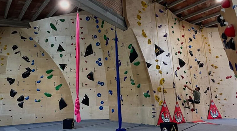 La regidoria d’Infància organitza un taller de rocòdrom adreçat a l’alumnat de primària