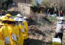 <strong>Riner rep el primer eixam d’abelles de Viladecans en el marc del projecte Redicat de recuperació i protecció de les abelles</strong>