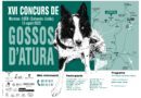 <strong>Tretze pastors competiran aquest diumenge al setzè Concurs de gossos d’atura al Montnou</strong>