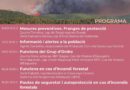 Organitzen una jornada d’autoprotecció en cas d’incendi forestal en edificacions aïllades
