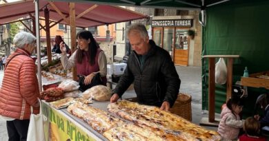 La bona temporada de bolets fa lluir la 4a Solsoterra