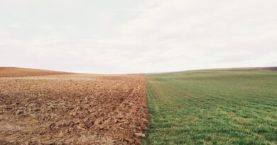 L’Escola Agrària del Solsonès organitza una sessió informativa sobre les novetats de la campanya de la DUN 2025