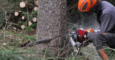 El Consell Comarcal impulsa la formació i la contractació de treballadors per al sector forestal davant la manca de mà d’obra