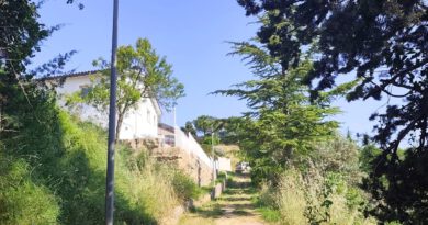 L’Ajuntament de Solsona dota d’enllumenat el camí peatonal que uneix el Tossal i el Serrat d’en Mingo amb la zona del passeig L’Ajuntament de Solsona dota d’enllumenat el camí peatonal que uneix el Tossal i el Serrat d’en Mingo amb la zona del passeig