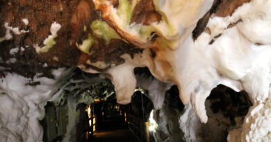 Neix un projecte per recuperar les antigues rutes del comerç de la sal de Cardona