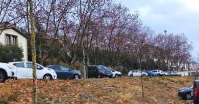 Solsona planta una trentena de noguers procedents d’una finca privada en diversos punts de la ciutat Solsona planta una trentena de noguers procedents d’una finca privada en diversos punts de la ciutat