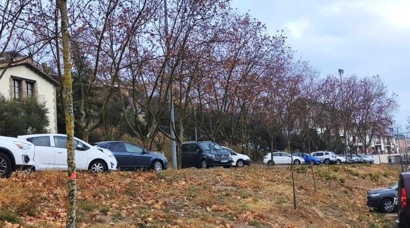Solsona planta una trentena de noguers procedents d’una finca privada en diversos punts de la ciutat Solsona planta una trentena de noguers procedents d’una finca privada en diversos punts de la ciutat