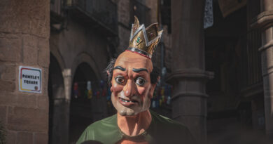 El gruix dels premis del 50è aniversari del Concurs de Fotografia del Carnaval es queden a casa