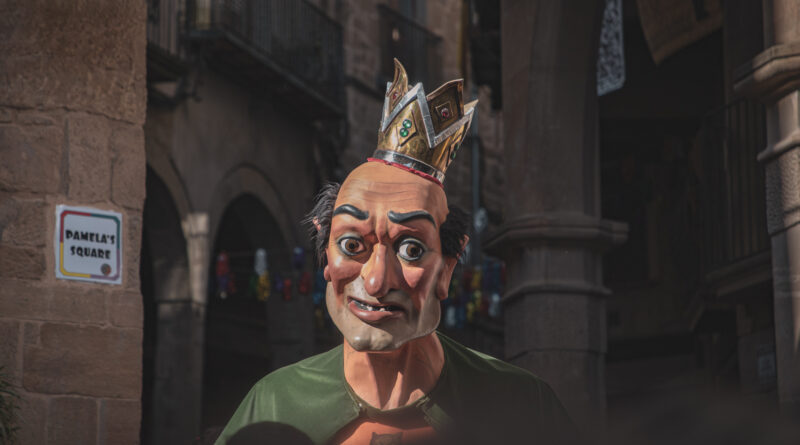 El gruix dels premis del 50è aniversari del Concurs de Fotografia del Carnaval es queden a casa