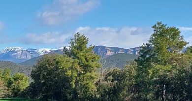 Suspeses les activitats educatives, universitàries, esportives i les sanitàries de caràcter no urgent per la previsió de fortes ventades arreu del país