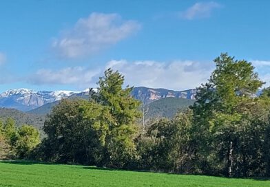 Suspeses les activitats educatives, universitàries, esportives i les sanitàries de caràcter no urgent per la previsió de fortes ventades arreu del país