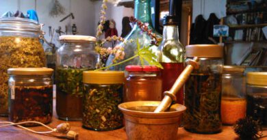 Solsona i el Solsonès commemoren el Dia Internacional de les dones amb una desena d’actes