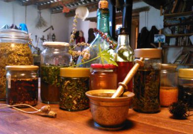 Solsona i el Solsonès commemoren el Dia Internacional de les dones amb una desena d’actes